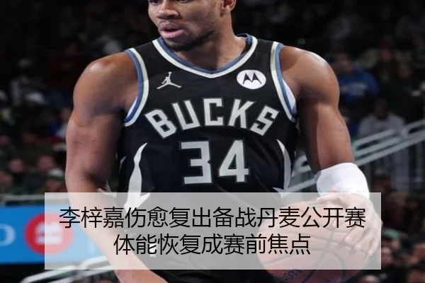 李梓嘉伤愈复出备战丹麦公开赛 体能恢复成赛前焦点